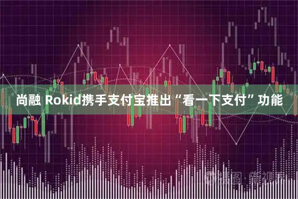 尚融 Rokid携手支付宝推出“看一下支付”功能