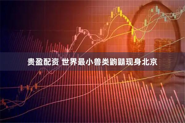 贵盈配资 世界最小兽类鼩鼱现身北京