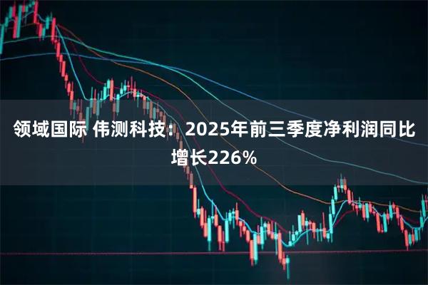 领域国际 伟测科技：2025年前三季度净利润同比增长226%