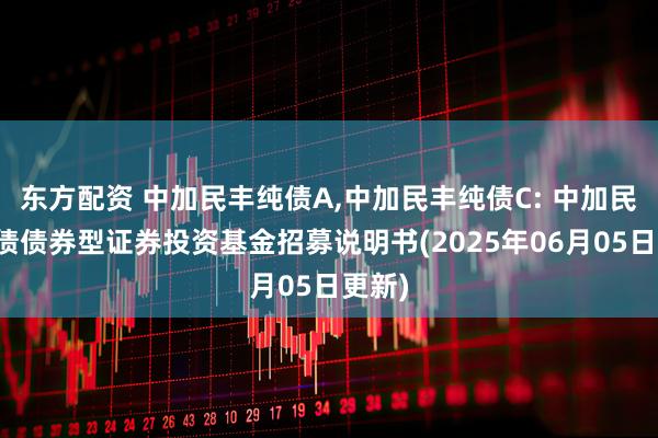 东方配资 中加民丰纯债A,中加民丰纯债C: 中加民丰纯债债券型证券投资基金招募说明书(2025年06月05日更新)