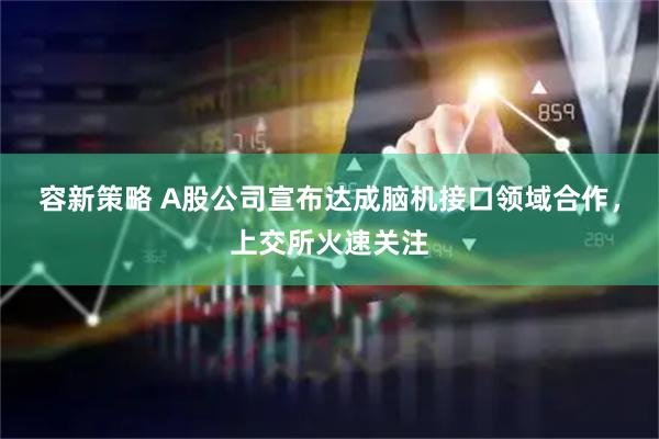 容新策略 A股公司宣布达成脑机接口领域合作，上交所火速关注