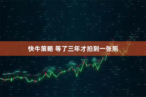快牛策略 等了三年才拍到一张照