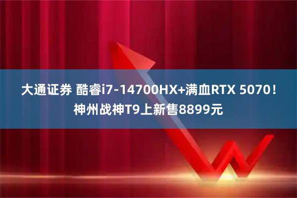大通证券 酷睿i7-14700HX+满血RTX 5070！神州战神T9上新售8899元